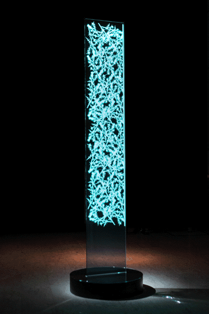 elshine (8).gif